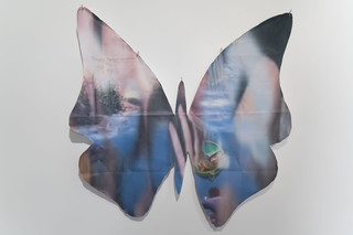 Proposal for butterfly cut out, head and computer game (The situation is like that of a bumble-bee which, by being there, became part of the genetic chain of the orchid), 2020