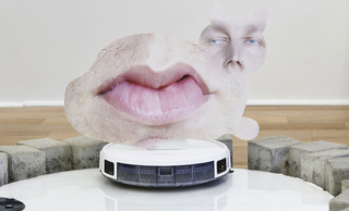 Proposal for hoover, cat cut out and distorted face (The living web of care is not one where every giving involves taking, nor every taking will involve giving)