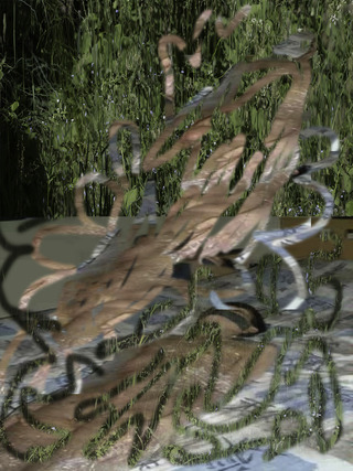 Proposal for found image and summer field (Take a walk at night. Walk so silently that the bottoms of your feet become ears), 2020