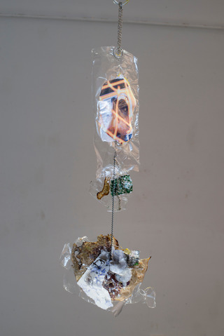 Pollinating machines, 2019. Installation view at Fall Open Studios, HIAP, Helsinki, Finland