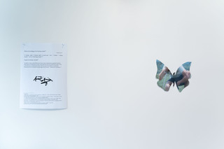 Installation view at Andrey Bogush: Butterfly Gina (To make love with drones), Ars Libera Gallery, Kuopio, Finland, 2020