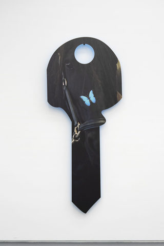 Rosa Butterfly (from keta femmunism to somatic interspecies communism), 2022