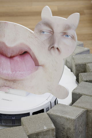 detail: Proposal for hoover, cat cut out and distorted face (The living web of care is not one where every giving involves taking, nor every taking will involve giving)