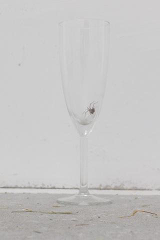 For Sanna, 2023. Installation view at Shahin Zarinbal, Berlin